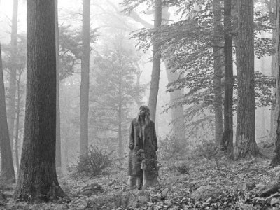 Every song from Taylor Swift’s ‘folklore’, ranked