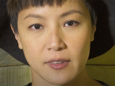 Lesbian pop star Denise Ho arrested in Hong Kong raid on pro-democracy&nbsp;activists